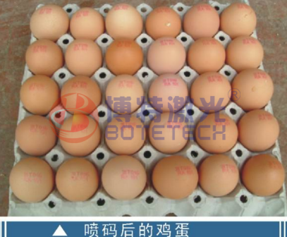 雞蛋可以用激光噴碼機(jī)嗎？